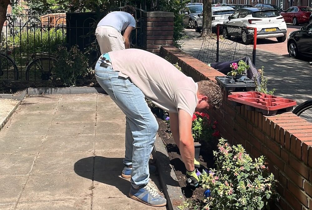 De tuin verkoopklaar maken