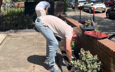 De tuin verkoopklaar maken
