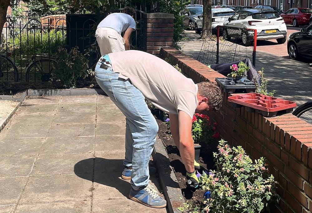 Tuin verkoopklaar